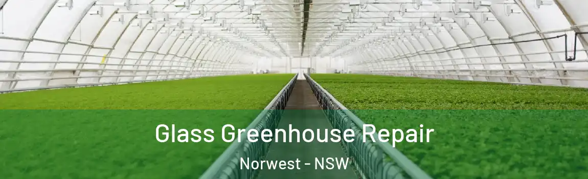  Glass Greenhouse Repair Norwest - NSW