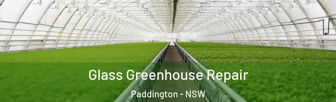  Glass Greenhouse Repair Paddington - NSW