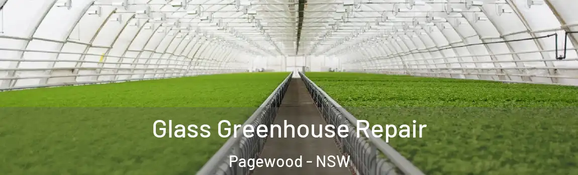  Glass Greenhouse Repair Pagewood - NSW