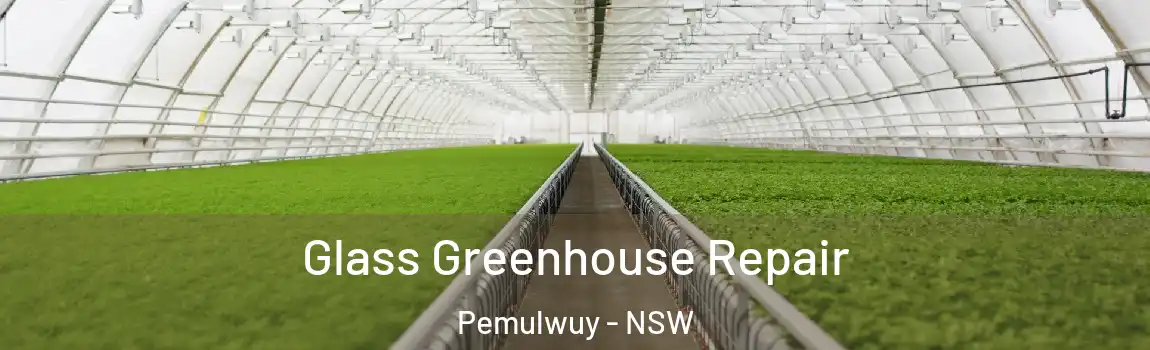  Glass Greenhouse Repair Pemulwuy - NSW