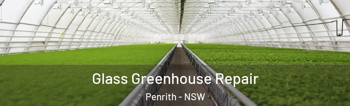  Glass Greenhouse Repair Penrith - NSW