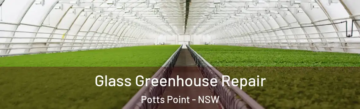  Glass Greenhouse Repair Potts Point - NSW