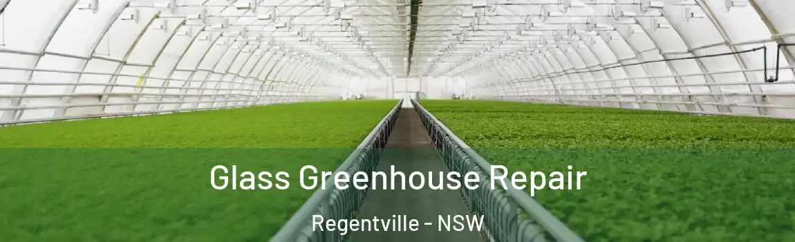  Glass Greenhouse Repair Regentville - NSW