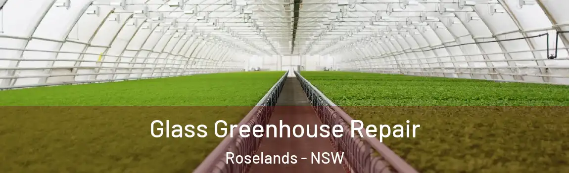  Glass Greenhouse Repair Roselands - NSW