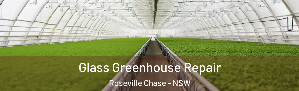  Glass Greenhouse Repair Roseville Chase - NSW