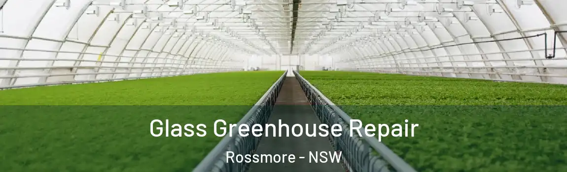  Glass Greenhouse Repair Rossmore - NSW
