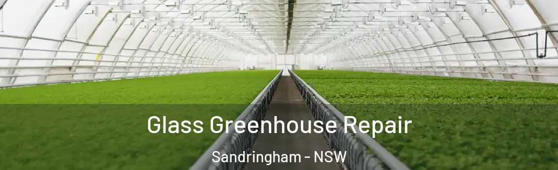  Glass Greenhouse Repair Sandringham - NSW