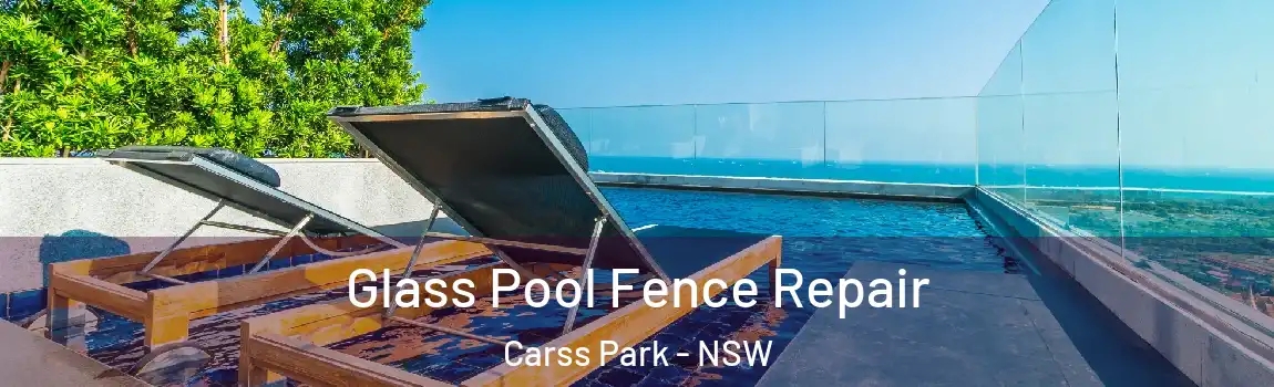  Glass Pool Fence Repair Carss Park - NSW