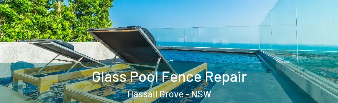  Glass Pool Fence Repair Hassall Grove - NSW