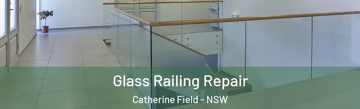  Glass Railing Repair Catherine Field - NSW