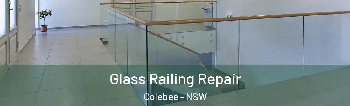  Glass Railing Repair Colebee - NSW