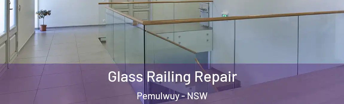  Glass Railing Repair Pemulwuy - NSW