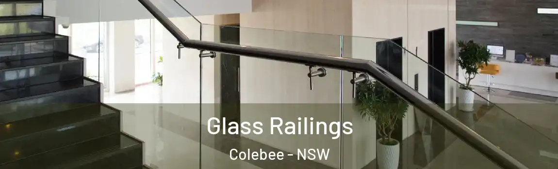  Glass Railings Colebee - NSW