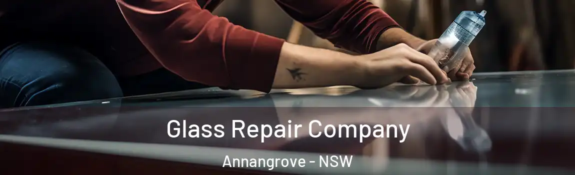  Glass Repair Company Annangrove - NSW