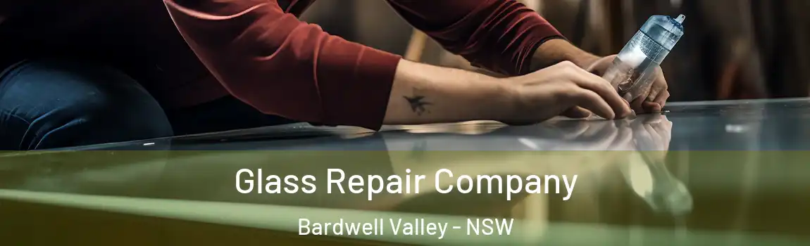  Glass Repair Company Bardwell Valley - NSW