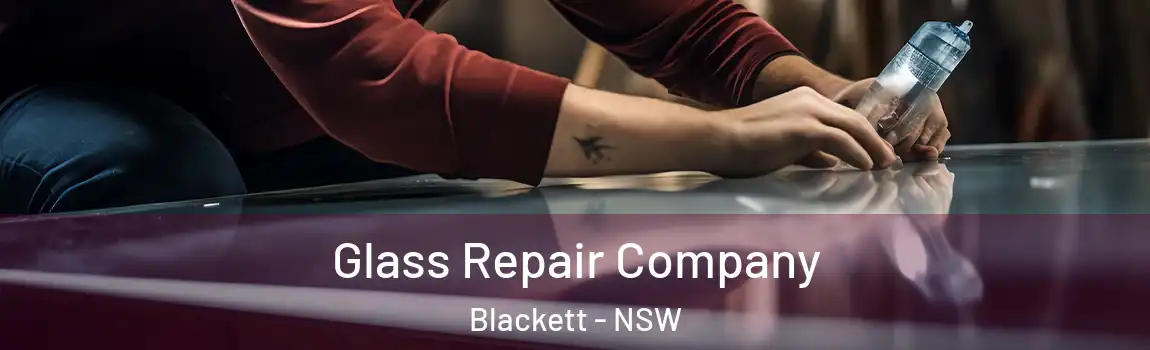  Glass Repair Company Blackett - NSW