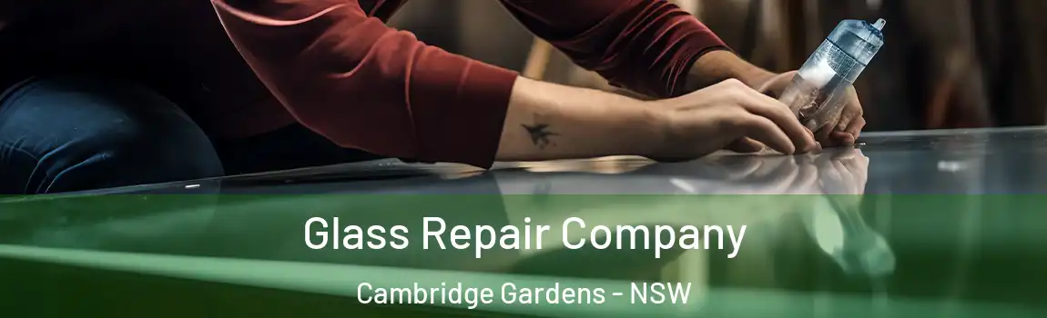  Glass Repair Company Cambridge Gardens - NSW