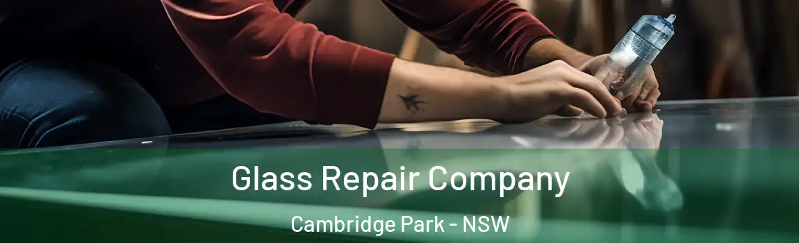  Glass Repair Company Cambridge Park - NSW