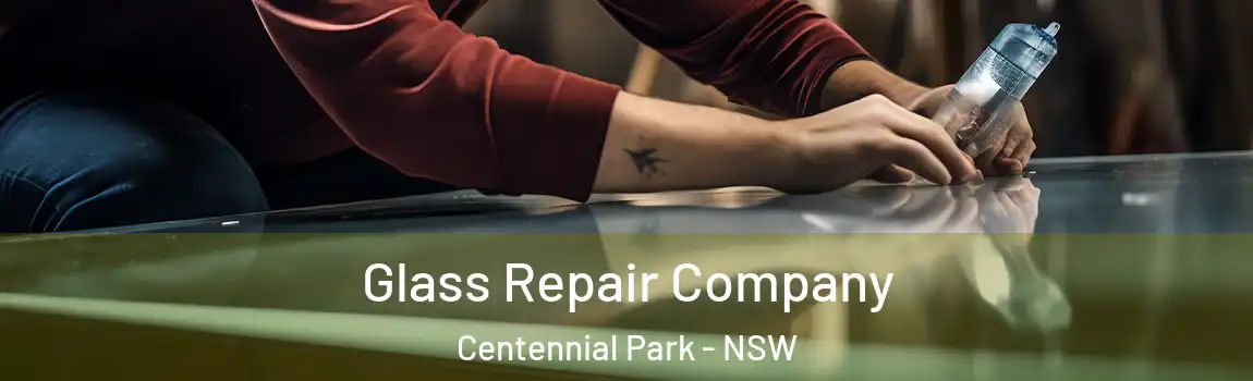  Glass Repair Company Centennial Park - NSW