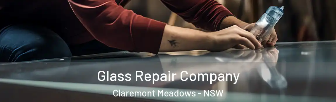  Glass Repair Company Claremont Meadows - NSW