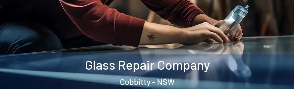  Glass Repair Company Cobbitty - NSW
