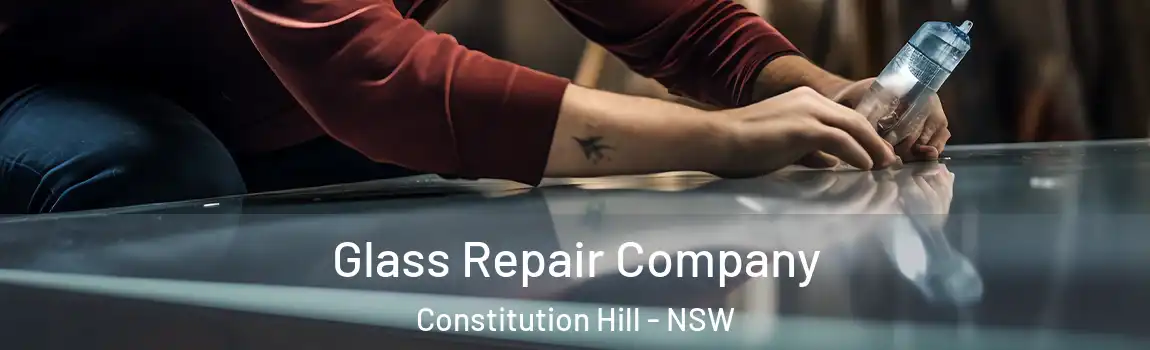  Glass Repair Company Constitution Hill - NSW