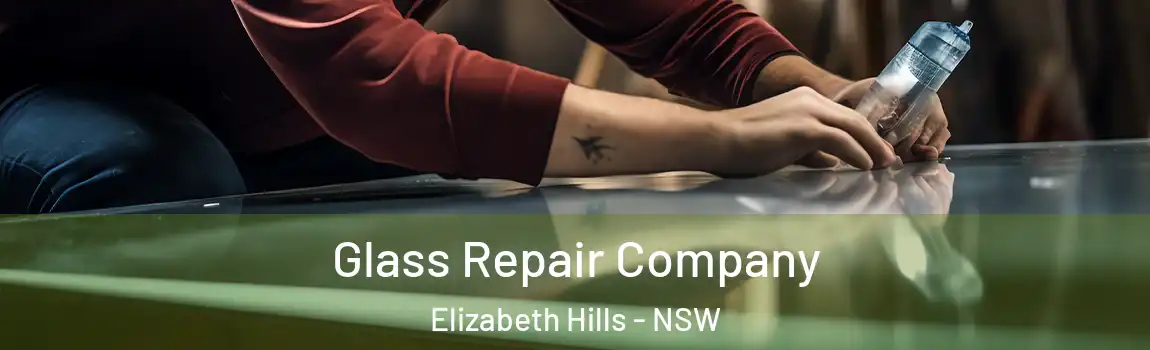  Glass Repair Company Elizabeth Hills - NSW