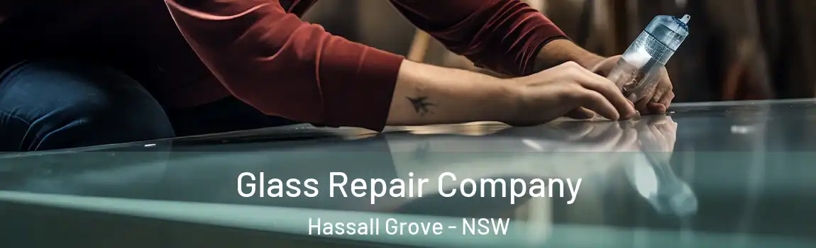  Glass Repair Company Hassall Grove - NSW