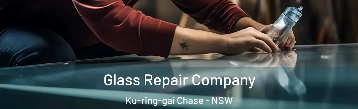  Glass Repair Company Ku-ring-gai Chase - NSW