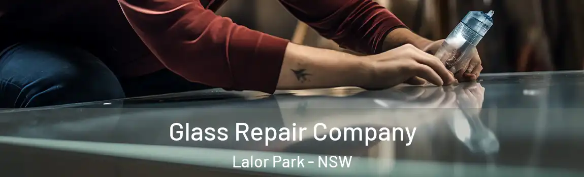 Glass Repair Company Lalor Park - NSW