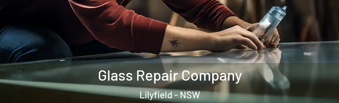  Glass Repair Company Lilyfield - NSW