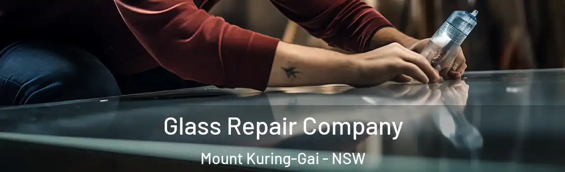  Glass Repair Company Mount Kuring-Gai - NSW