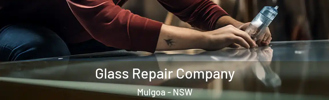  Glass Repair Company Mulgoa - NSW