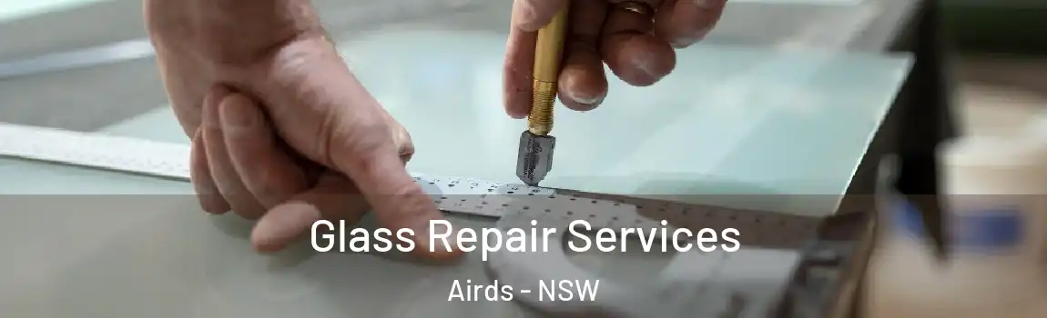  Glass Repair Services Airds - NSW
