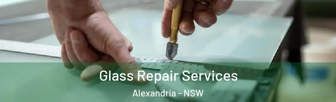  Glass Repair Services Alexandria - NSW
