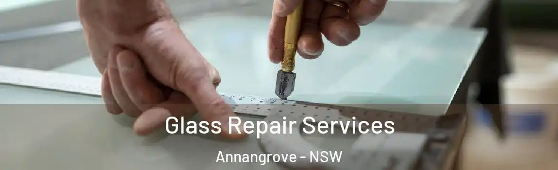  Glass Repair Services Annangrove - NSW