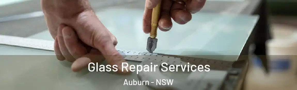 Glass Repair Services Auburn - NSW