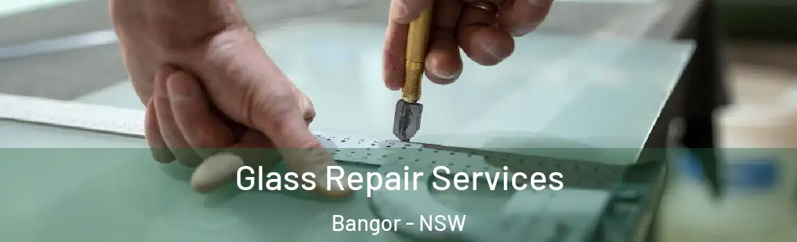  Glass Repair Services Bangor - NSW