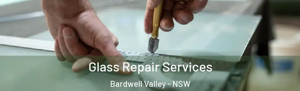  Glass Repair Services Bardwell Valley - NSW