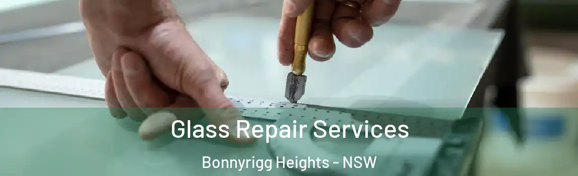  Glass Repair Services Bonnyrigg Heights - NSW