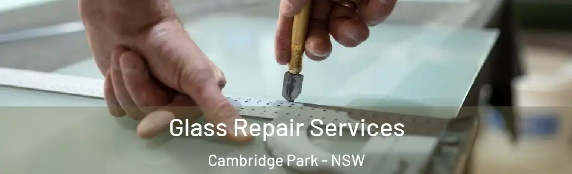  Glass Repair Services Cambridge Park - NSW