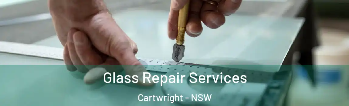  Glass Repair Services Cartwright - NSW