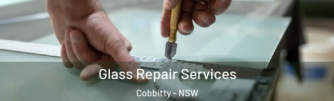  Glass Repair Services Cobbitty - NSW