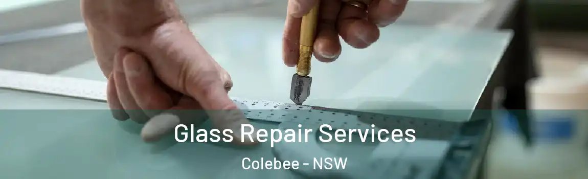  Glass Repair Services Colebee - NSW