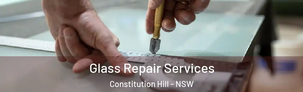  Glass Repair Services Constitution Hill - NSW