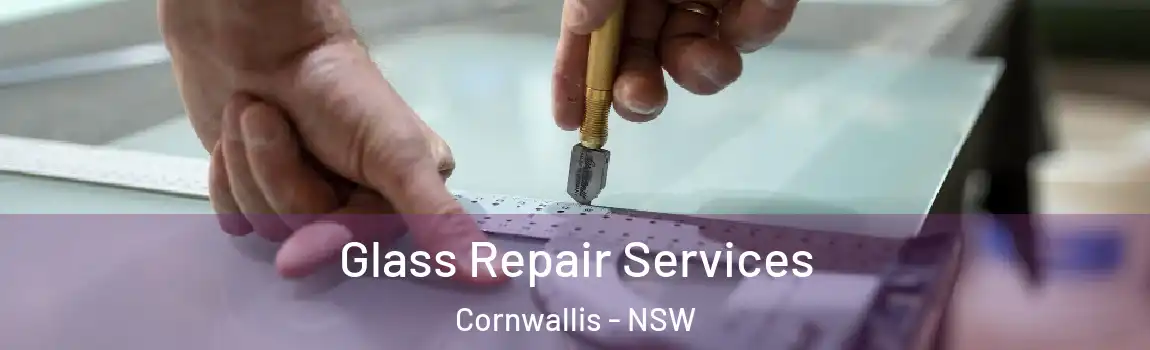  Glass Repair Services Cornwallis - NSW