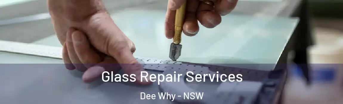  Glass Repair Services Dee Why - NSW