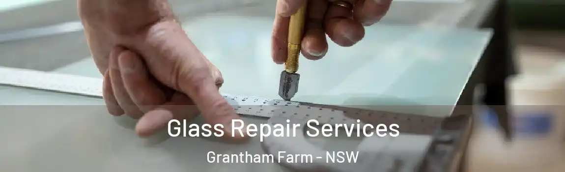  Glass Repair Services Grantham Farm - NSW