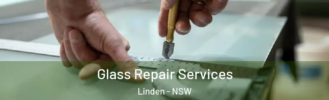  Glass Repair Services Linden - NSW