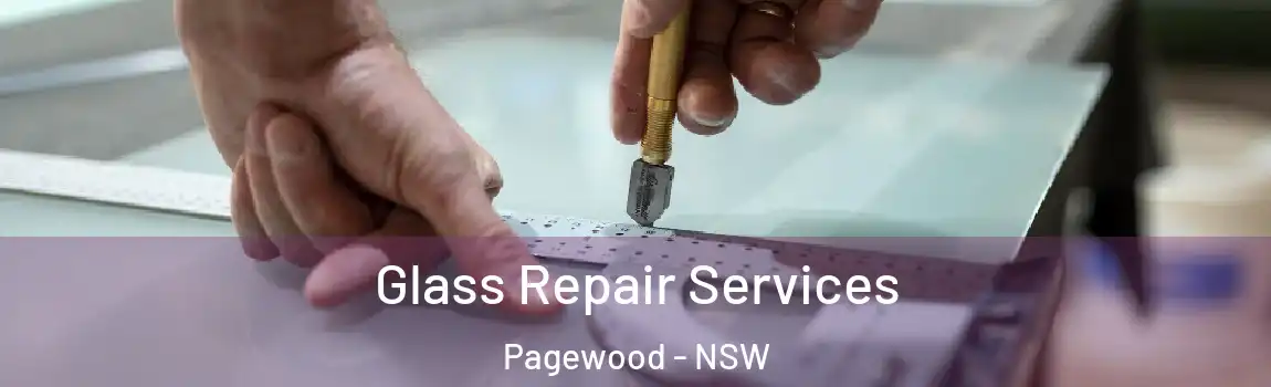  Glass Repair Services Pagewood - NSW